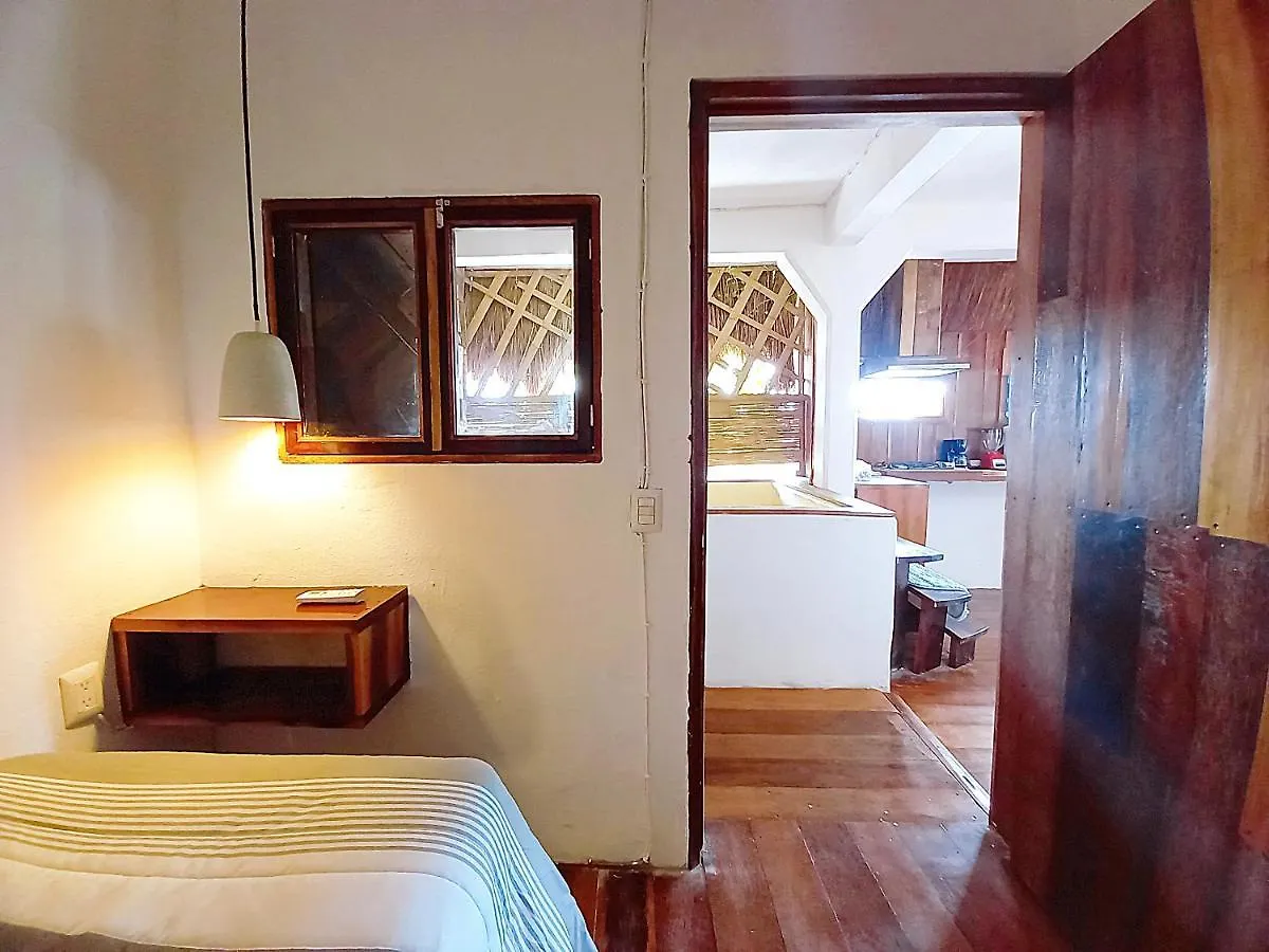 E-Shizo Lofts 公寓 图卢姆